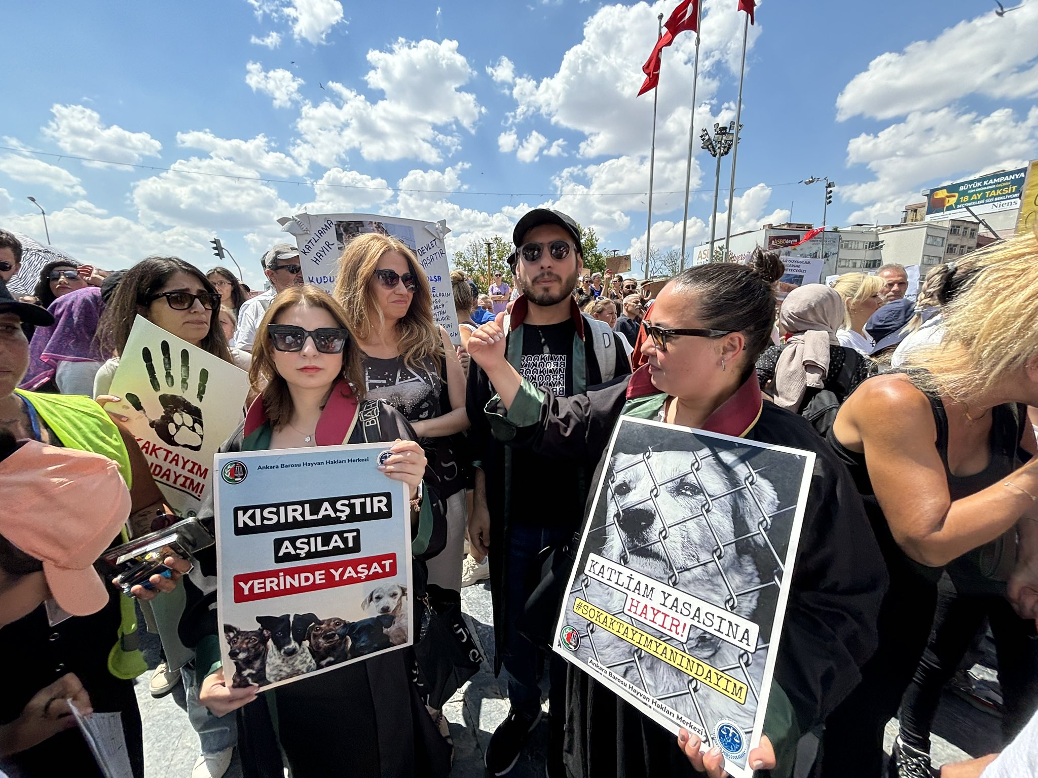 Sokak Hayvanları için Yarım Milyon İmza Atıldı. AYM’nin Kararı Bekleniyor.