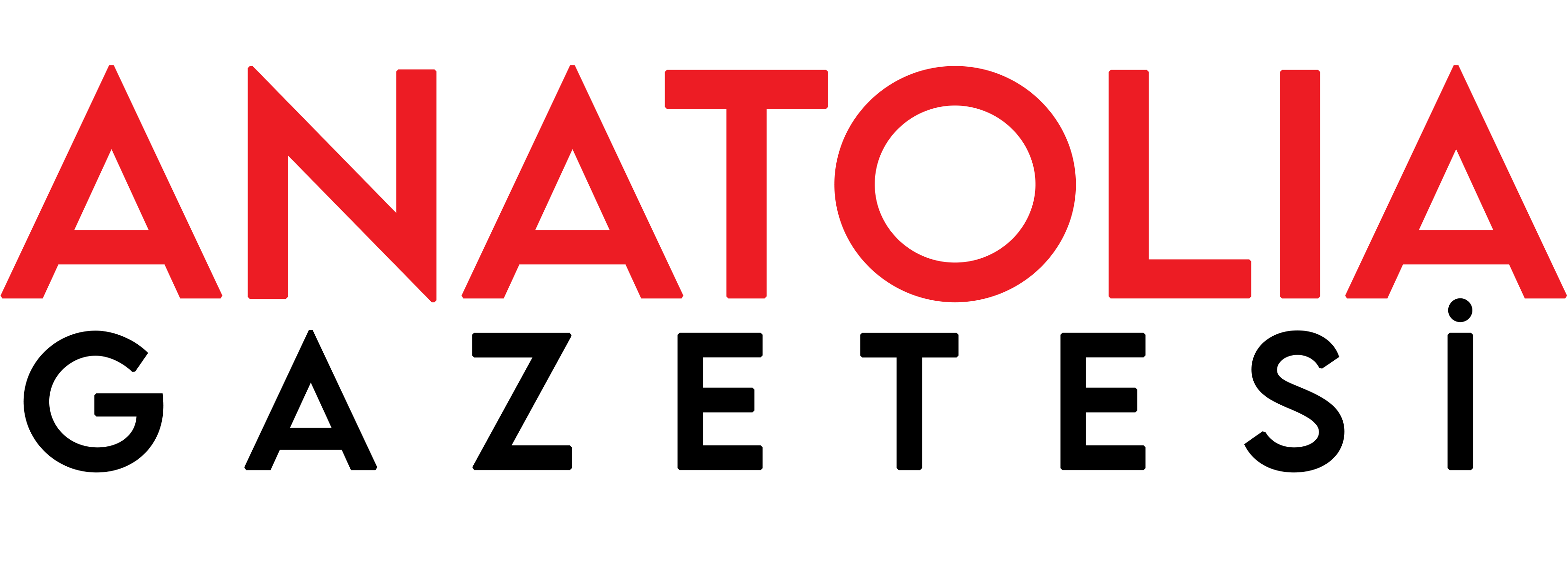 Anatolia Gazetesi Haber